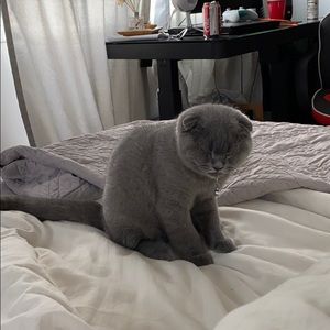 Meet your Posher, Max